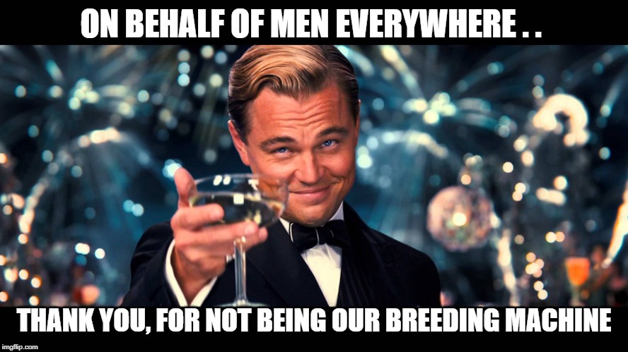 lionardo dicaprio thank you | ON BEHALF OF MEN EVERYWHERE . . THANK YOU, FOR NOT BEING OUR BREEDING MACHINE | image tagged in lionardo dicaprio thank you | made w/ Imgflip meme maker