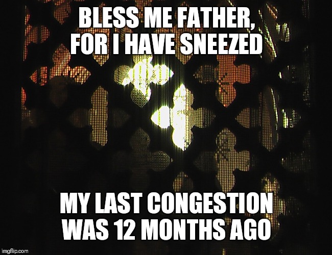 What did the catholic who had a cold say to the priest? | BLESS ME FATHER, FOR I HAVE SNEEZED; MY LAST CONGESTION WAS 12 MONTHS AGO | image tagged in confessional | made w/ Imgflip meme maker