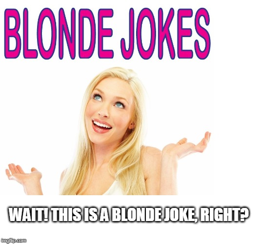 WAIT! THIS IS A BLONDE JOKE, RIGHT? | made w/ Imgflip meme maker