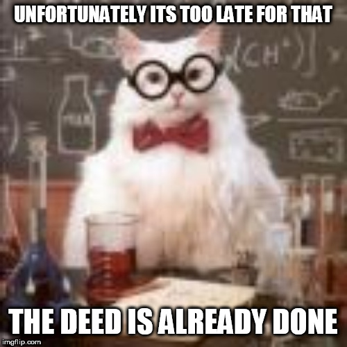 UNFORTUNATELY ITS TOO LATE FOR THAT THE DEED IS ALREADY DONE | made w/ Imgflip meme maker