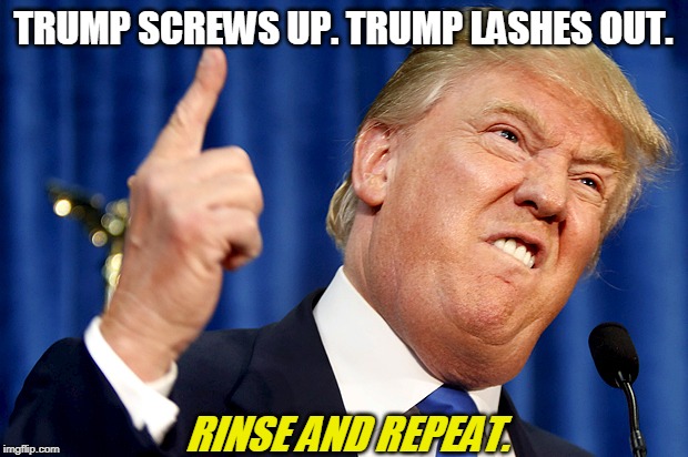 Trump loses gracefully. | TRUMP SCREWS UP. TRUMP LASHES OUT. RINSE AND REPEAT. | image tagged in donald trump,angry | made w/ Imgflip meme maker