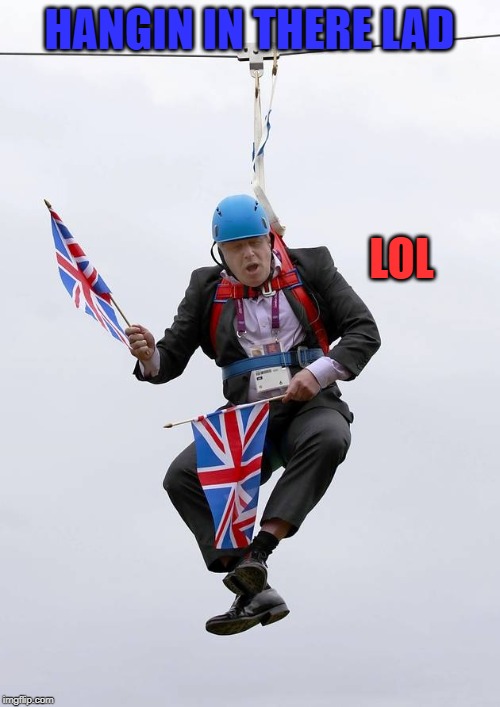 Boris Johnson Stuck | HANGIN IN THERE LAD LOL | image tagged in boris johnson stuck | made w/ Imgflip meme maker