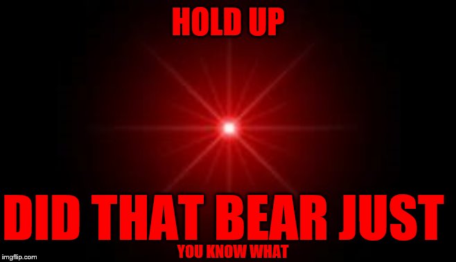 HOLD UP DID THAT BEAR JUST YOU KNOW WHAT | made w/ Imgflip meme maker