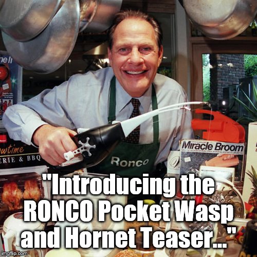 Not everyone will get this. | "Introducing the RONCO Pocket Wasp and Hornet Teaser..." | image tagged in infomercial | made w/ Imgflip meme maker