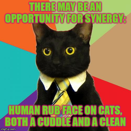 Business Cat Meme | THERE MAY BE AN OPPORTUNITY FOR SYNERGY: HUMAN RUB FACE ON CATS, BOTH A CUDDLE AND A CLEAN | image tagged in memes,business cat | made w/ Imgflip meme maker