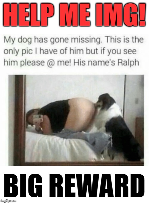 I Miss Him So Much | HELP ME IMG! BIG REWARD | image tagged in missing,help,imgflip users,imgflip community,lolz,mwahahaha | made w/ Imgflip meme maker