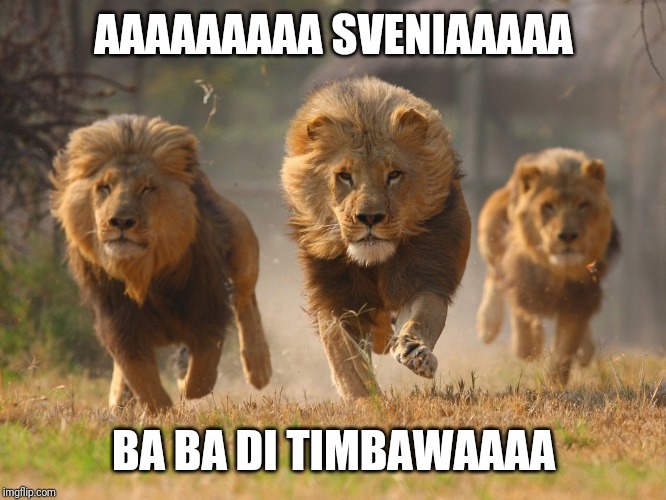 Lions Lookin For A Dentist | AAAAAAAAA SVENIAAAAA; BA BA DI TIMBAWAAAA | image tagged in lions lookin for a dentist | made w/ Imgflip meme maker