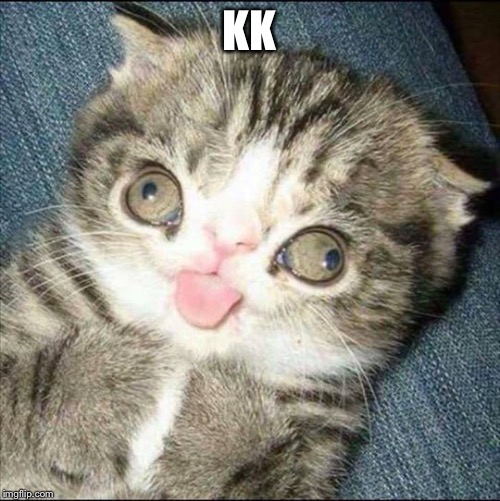 Derp Cat | KK | image tagged in derp cat | made w/ Imgflip meme maker