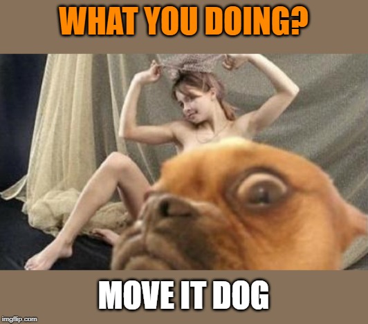 WHAT YOU DOING? MOVE IT DOG | made w/ Imgflip meme maker