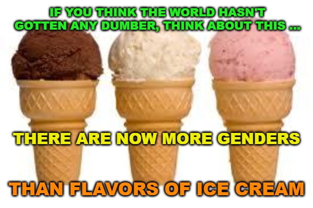 Being a lizard isn't a gender and neither is being gay. | IF YOU THINK THE WORLD HASN'T GOTTEN ANY DUMBER, THINK ABOUT THIS ... THERE ARE NOW MORE GENDERS; THAN FLAVORS OF ICE CREAM | image tagged in memes,ice cream cone,unlimited genders,progressives,lgbtq | made w/ Imgflip meme maker