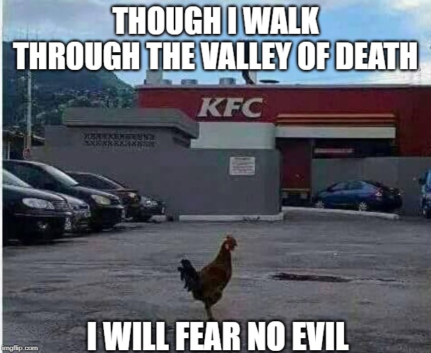 KFC | THOUGH I WALK THROUGH THE VALLEY OF DEATH; I WILL FEAR NO EVIL | image tagged in valley,death,evil,kfc | made w/ Imgflip meme maker