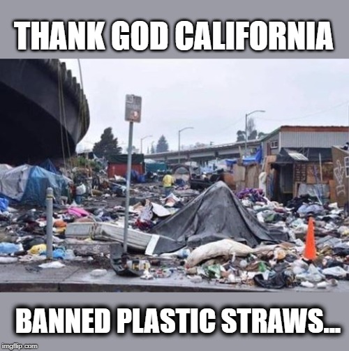what a mess | THANK GOD CALIFORNIA; BANNED PLASTIC STRAWS... | image tagged in liberal logic | made w/ Imgflip meme maker