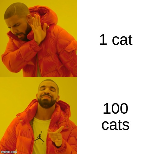 I need a 1000 cats lol | 1 cat; 100 cats | image tagged in memes,drake hotline bling,cats,100 vs 1 | made w/ Imgflip meme maker