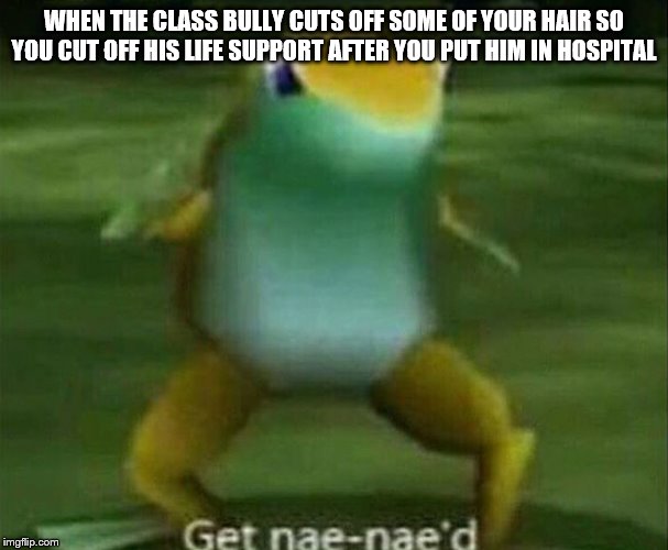 Get nae-nae'd | WHEN THE CLASS BULLY CUTS OFF SOME OF YOUR HAIR SO YOU CUT OFF HIS LIFE SUPPORT AFTER YOU PUT HIM IN HOSPITAL | image tagged in get nae-nae'd | made w/ Imgflip meme maker
