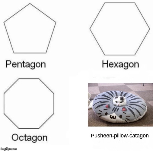 Pusheen-Pillow-Catagon | Pusheen-pillow-catagon | image tagged in memes,pentagon hexagon octagon,cat,pusheen pillow | made w/ Imgflip meme maker