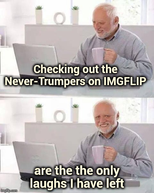 Dumb and Dumber and amazingly Dumb | Checking out the Never-Trumpers on IMGFLIP; are the the only laughs I have left | image tagged in memes,hide the pain harold,iq,scumbag brain,you can't fix stupid | made w/ Imgflip meme maker