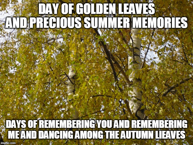 Dancing Among the Autumn Leaves | DAY OF GOLDEN LEAVES AND PRECIOUS SUMMER MEMORIES; DAYS OF REMEMBERING YOU AND REMEMBERING ME AND DANCING AMONG THE AUTUMN LIEAVES | image tagged in autumn,autumn leaves,dancing,summer memories | made w/ Imgflip meme maker