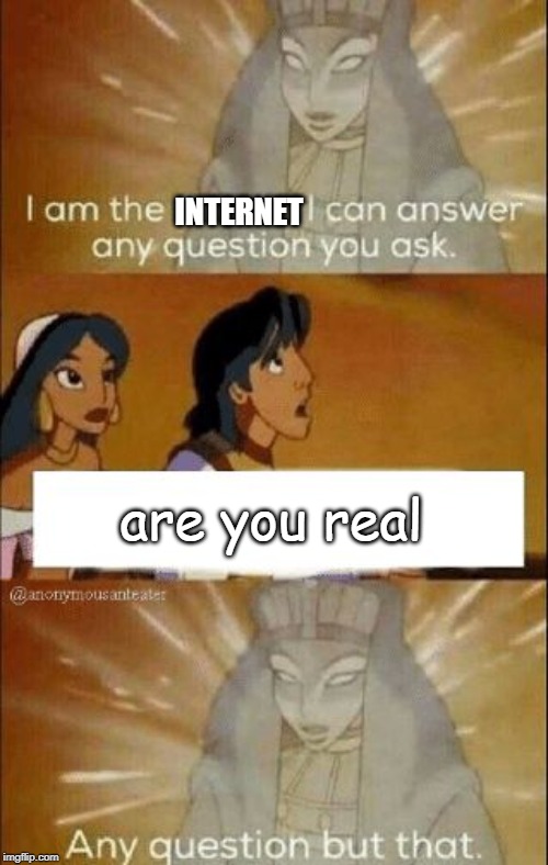 I can answer any question you ask | INTERNET; are you real | image tagged in i can answer any question you ask | made w/ Imgflip meme maker