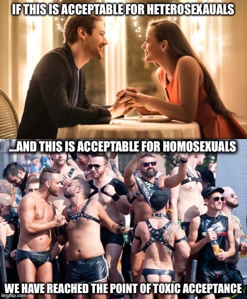 Toxic Acceptance | IF THIS IS ACCEPTABLE FOR HETEROSEXAUALS; ...AND THIS IS ACCEPTABLE FOR HOMOSEXUALS; WE HAVE REACHED THE POINT OF TOXIC ACCEPTANCE | image tagged in toxic acceptance,memes,homosexuality,political meme | made w/ Imgflip meme maker