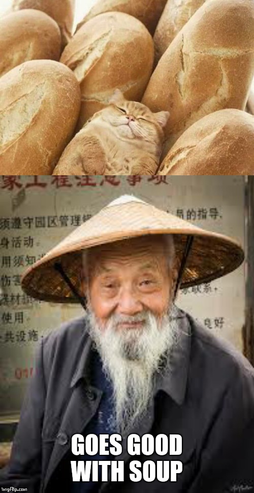 GOES GOOD WITH SOUP | image tagged in china man,cats | made w/ Imgflip meme maker