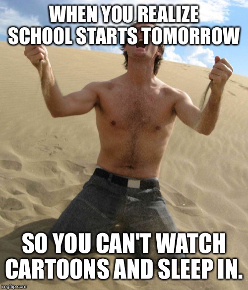 NOOOOOOO!!!!! | WHEN YOU REALIZE SCHOOL STARTS TOMORROW; SO YOU CAN'T WATCH CARTOONS AND SLEEP IN. | image tagged in nooooooo | made w/ Imgflip meme maker