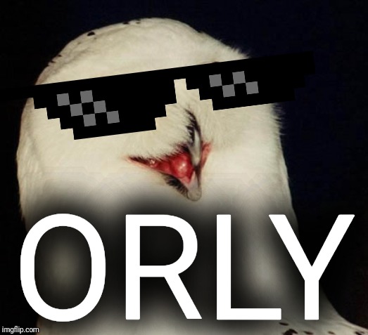 orly owl | ORLY | image tagged in orly owl | made w/ Imgflip meme maker