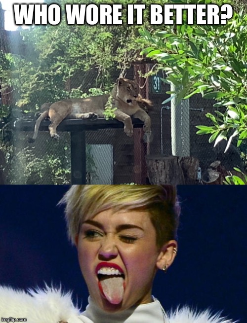Nala vs Miley | WHO WORE IT BETTER? | image tagged in miley cyrus tongue,lionness miley cyrus,the lion king,memes,who wore it better,face | made w/ Imgflip meme maker