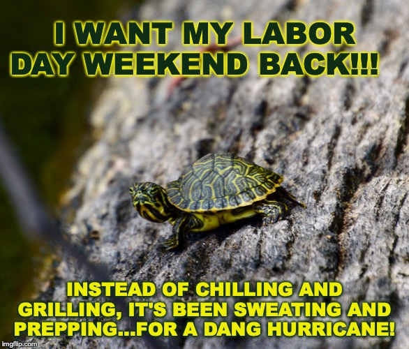 I WANT MY LABOR DAY WEEKEND BACK!!! INSTEAD OF CHILLING AND GRILLING, IT'S BEEN SWEATING AND PREPPING...FOR A DANG HURRICANE! | image tagged in turtle,hurricane,weekend,holiday | made w/ Imgflip meme maker