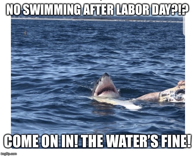 Great White Hello | NO SWIMMING AFTER LABOR DAY?!? COME ON IN! THE WATER’S FINE! | image tagged in great white hello | made w/ Imgflip meme maker