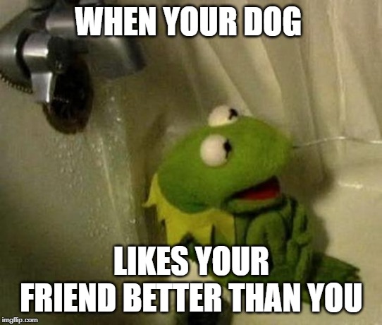 Kermit on Shower | WHEN YOUR DOG; LIKES YOUR FRIEND BETTER THAN YOU | image tagged in kermit on shower | made w/ Imgflip meme maker