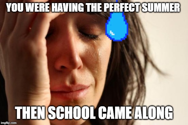 First World Problems | YOU WERE HAVING THE PERFECT SUMMER; THEN SCHOOL CAME ALONG | image tagged in memes,first world problems | made w/ Imgflip meme maker