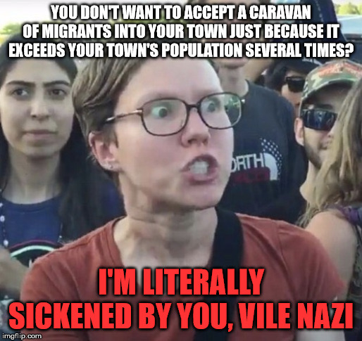 Triggered feminist | YOU DON'T WANT TO ACCEPT A CARAVAN OF MIGRANTS INTO YOUR TOWN JUST BECAUSE IT EXCEEDS YOUR TOWN'S POPULATION SEVERAL TIMES? I'M LITERALLY SICKENED BY YOU, VILE NAZI | image tagged in triggered feminist | made w/ Imgflip meme maker