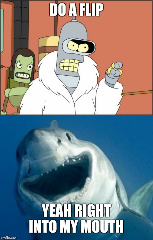 DO A FLIP YEAH RIGHT INTO MY MOUTH | image tagged in memes,bender | made w/ Imgflip meme maker