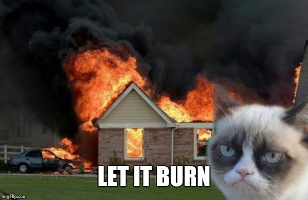 Burn Kitty Meme | LET IT BURN | image tagged in memes,burn kitty,grumpy cat | made w/ Imgflip meme maker