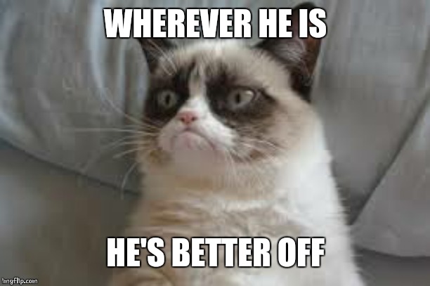 Grumpy cat | WHEREVER HE IS HE'S BETTER OFF | image tagged in grumpy cat | made w/ Imgflip meme maker