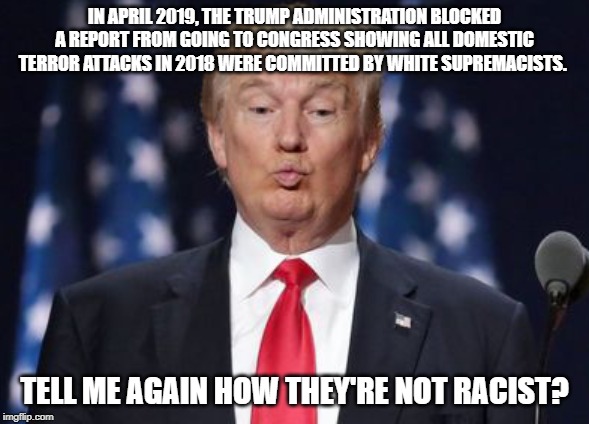 President "not a racist bone in my body" is actually a racist | IN APRIL 2019, THE TRUMP ADMINISTRATION BLOCKED A REPORT FROM GOING TO CONGRESS SHOWING ALL DOMESTIC TERROR ATTACKS IN 2018 WERE COMMITTED BY WHITE SUPREMACISTS. TELL ME AGAIN HOW THEY'RE NOT RACIST? | image tagged in racism,donald trump,conservatives | made w/ Imgflip meme maker