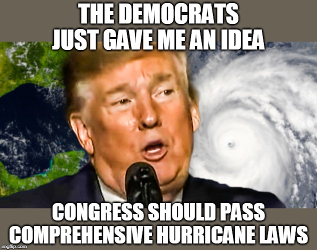 Trump sez more Laws | THE DEMOCRATS JUST GAVE ME AN IDEA; CONGRESS SHOULD PASS COMPREHENSIVE HURRICANE LAWS | image tagged in donald trump,hurricane,democrat ideas | made w/ Imgflip meme maker