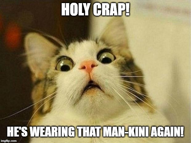 Scared Cat Meme | HOLY CRAP! HE'S WEARING THAT MAN-KINI AGAIN! | image tagged in memes,scared cat | made w/ Imgflip meme maker