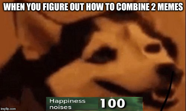 [happiness noise] | WHEN YOU FIGURE OUT HOW TO COMBINE 2 MEMES | image tagged in happiness noise | made w/ Imgflip meme maker