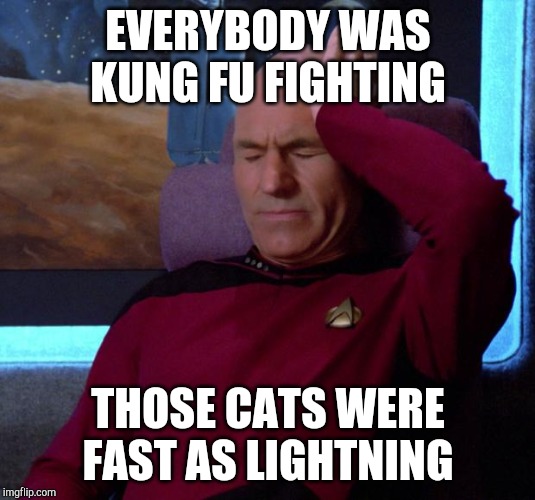 Picard Headache | EVERYBODY WAS KUNG FU FIGHTING; THOSE CATS WERE FAST AS LIGHTNING | image tagged in picard headache | made w/ Imgflip meme maker