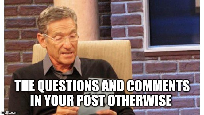 maury povich | THE QUESTIONS AND COMMENTS IN YOUR POST OTHERWISE | image tagged in maury povich | made w/ Imgflip meme maker