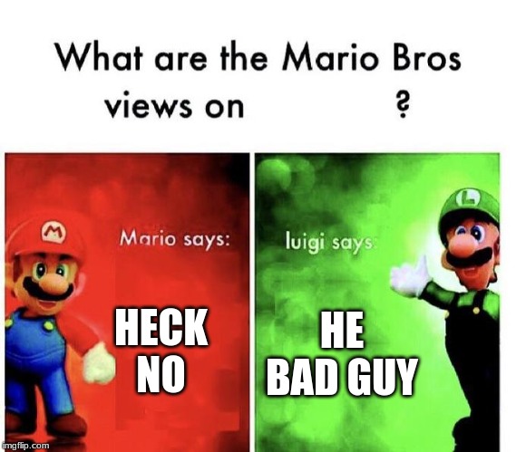 Mario Bros Views | HECK NO HE BAD GUY | image tagged in mario bros views | made w/ Imgflip meme maker