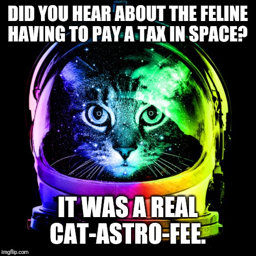 cat astronaut | DID YOU HEAR ABOUT THE FELINE HAVING TO PAY A TAX IN SPACE? IT WAS A REAL CAT-ASTRO-FEE. | image tagged in cat astronaut | made w/ Imgflip meme maker