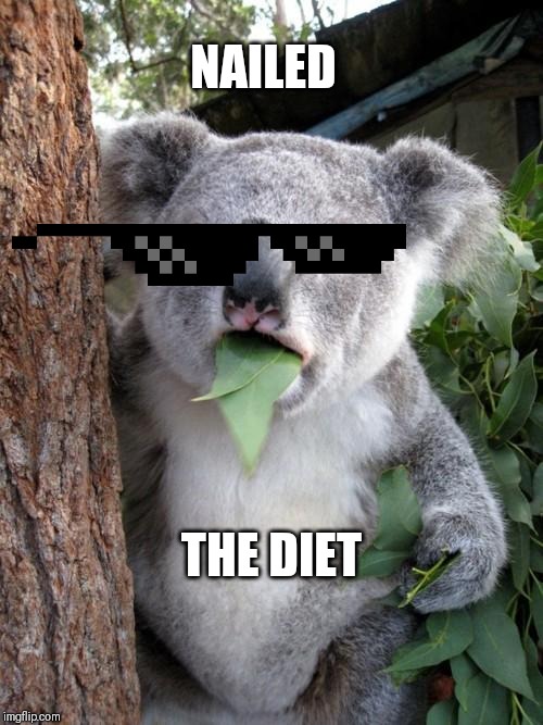 Surprised Koala Meme | NAILED; THE DIET | image tagged in memes,surprised koala | made w/ Imgflip meme maker