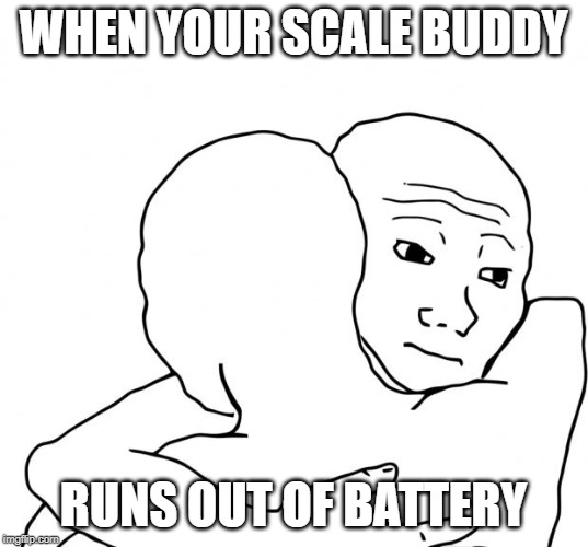 I Know That Feel Bro | WHEN YOUR SCALE BUDDY; RUNS OUT OF BATTERY | image tagged in memes,i know that feel bro | made w/ Imgflip meme maker