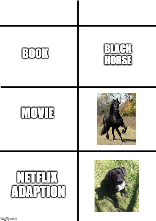 Netflix Adaption | BLACK 
HORSE; BOOK; MOVIE; NETFLIX
 ADAPTION | image tagged in comparison chart | made w/ Imgflip meme maker