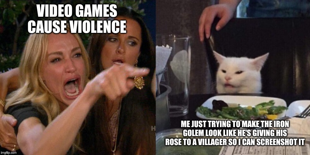 Woman yelling at cat | VIDEO GAMES CAUSE VIOLENCE; ME JUST TRYING TO MAKE THE IRON GOLEM LOOK LIKE HE'S GIVING HIS ROSE TO A VILLAGER SO I CAN SCREENSHOT IT | image tagged in woman yelling at cat | made w/ Imgflip meme maker