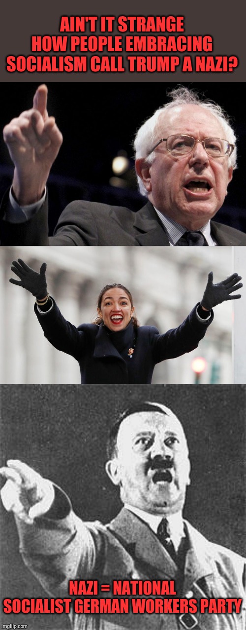 Twisted | AIN'T IT STRANGE HOW PEOPLE EMBRACING SOCIALISM CALL TRUMP A NAZI? NAZI = NATIONAL SOCIALIST GERMAN WORKERS PARTY | image tagged in hitler,bernie sanders,aoc free stuff | made w/ Imgflip meme maker