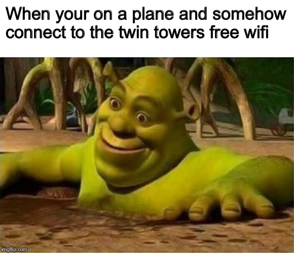 shrek | When your on a plane and somehow connect to the twin towers free wifi | image tagged in shrek | made w/ Imgflip meme maker