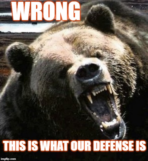 Bears Defense is a Bear | WRONG; THIS IS WHAT OUR DEFENSE IS | image tagged in bears,da bears,chicago bears,go bears | made w/ Imgflip meme maker